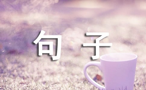 �������˾����f(shu��)�f(shu��)�R��80�侫�x