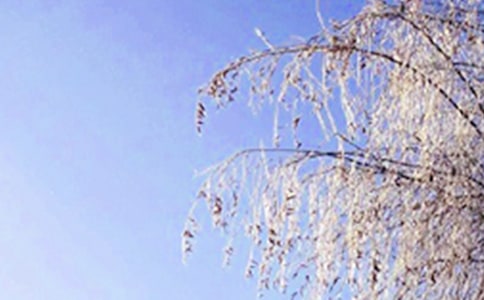 ٝ�������Ԋ(sh��)��2ƪ