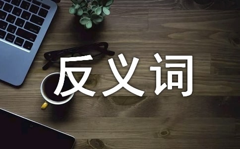 ƽ���Ľ��x�~�����x�~����Щ�����