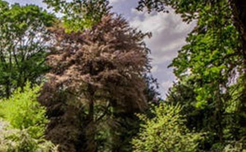 �L(f��ng)����Ԋ(sh��)��