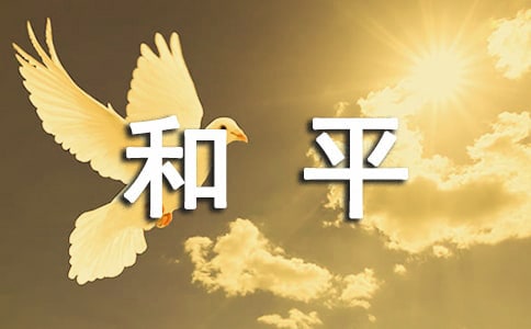 �������һֻ��ƽ��