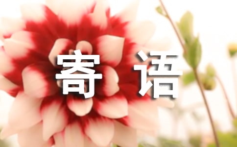 �i����Z