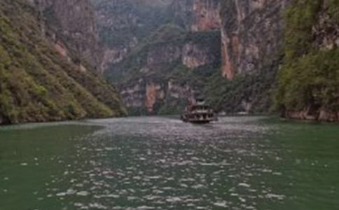 �茑���{��ɫ��Ԋ��