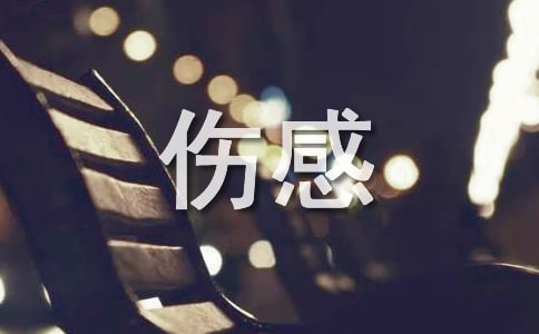����е�Ԋ��370��