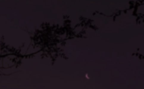 �������Z����Щ�²��ܻ��ף���Щ��ֻ�����h���