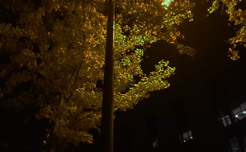 ���Ä�(l��)־�������Ŵ�ȫ120��