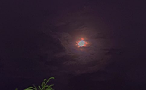 ����(l��)־�������ŅR��125��