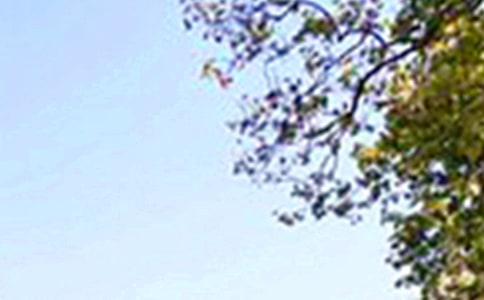 ��(l��)־�簲���ţ����x100�䣩