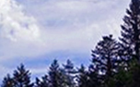 ��ܰ�簲�f�f�R��50�侫�x