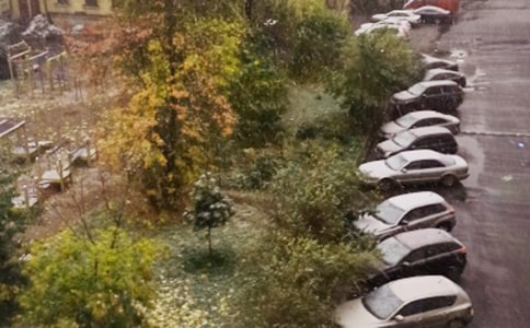 ��ѩ��Ԋ��15ƪ