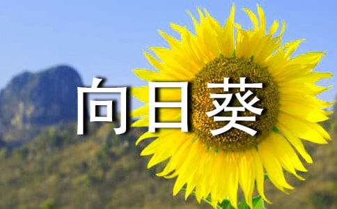 ���տ�����15ƪ����Ʒ��