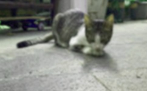�Ҽҵ�С؈(��(y��u)�x)