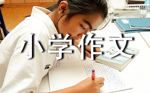 С�W(xu��)�����Ґ۵��Ͳ˻�