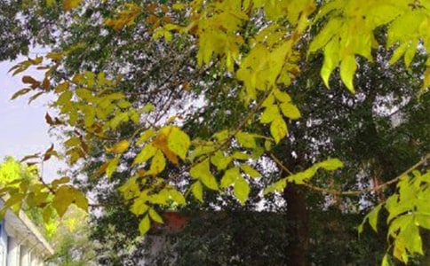 ���Є�(l��)־�簲����105��