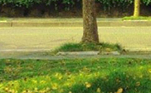 ��Ҋ(ji��n)��ܰ�簲���ţ�ͨ��180�䣩