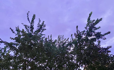 ��Ҋ(ji��n)��ܰ�簲�f(shu��)�f(shu��)��ͨ��35�䣩