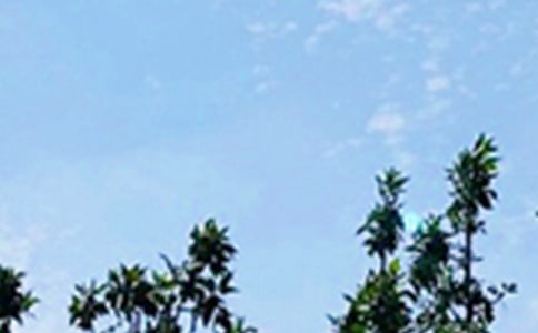 ��ܰ�簲��(l��)־����