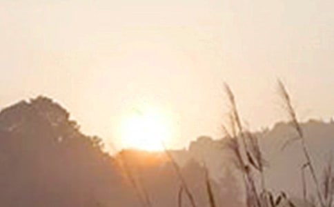 ���̄�־�簲����280�l